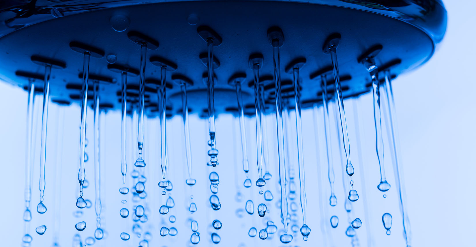 clean shower head