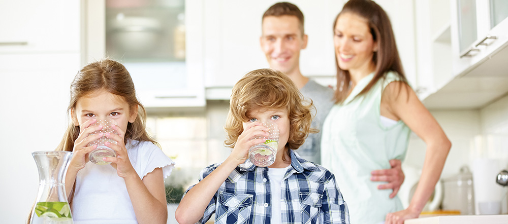reverse osmosis whole house water filter