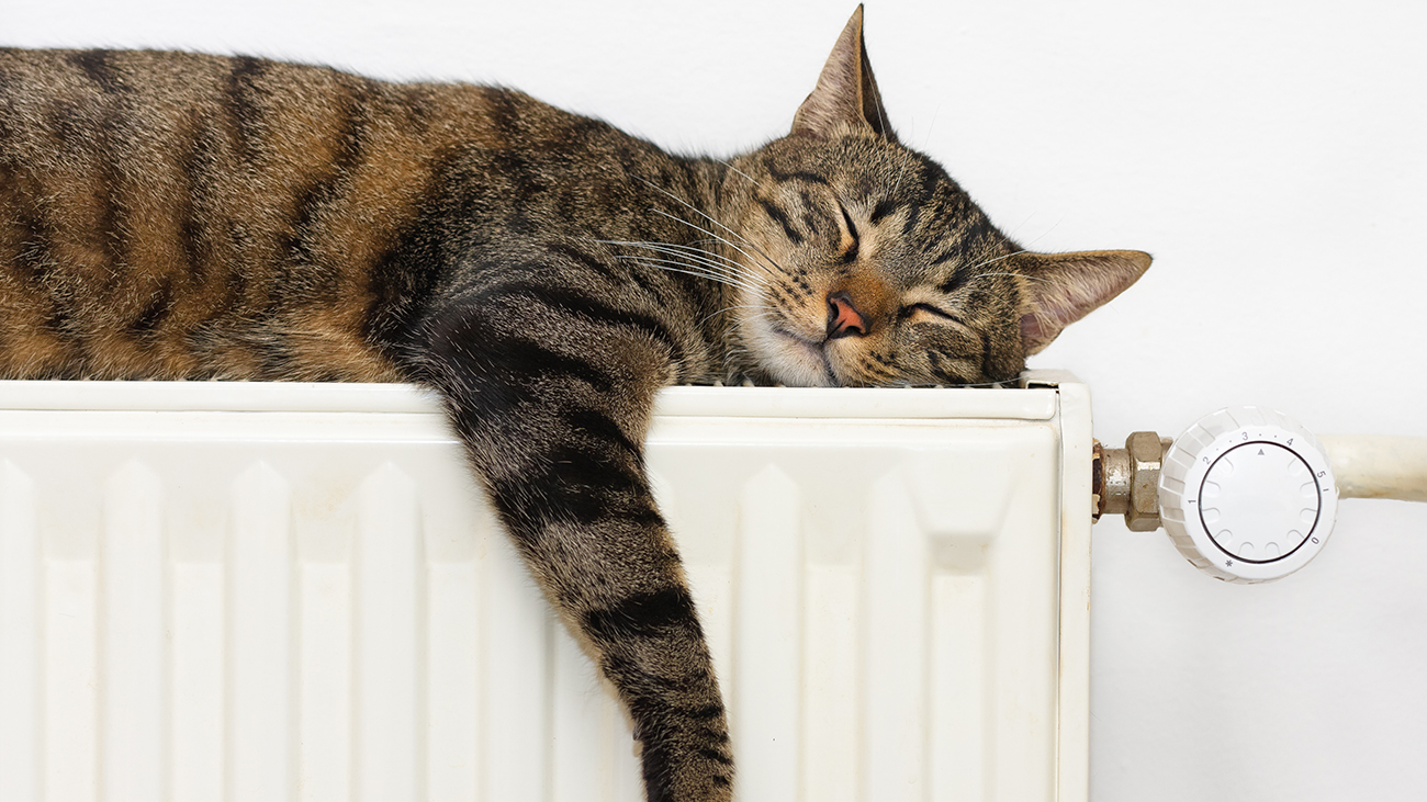 boiler or radiator system