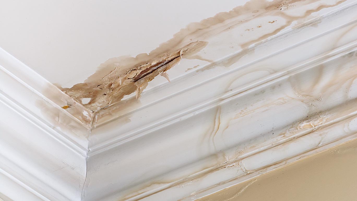 plumbing tip - look for leaks before they get like this